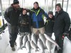 (02/04/2017) - Nice Striped Bass